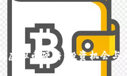 全面解析虚拟币硬糖：投资机会与风险分析