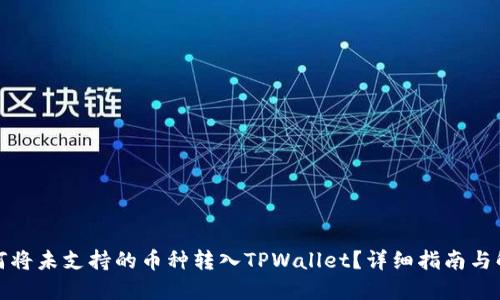 如何将未支持的币种转入TPWallet？详细指南与解答