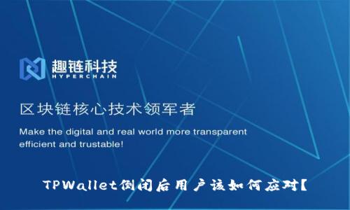 TPWallet倒闭后用户该如何应对？