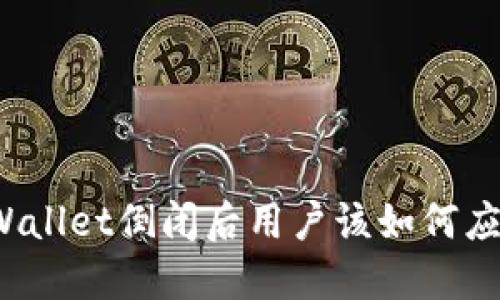 TPWallet倒闭后用户该如何应对？