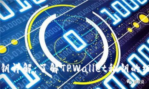 TPWallet私钥详解:了解TPWallet私钥的组成及安全性