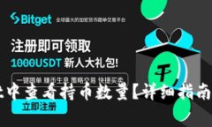 如何在TPWallet中查看持币数量？详细指