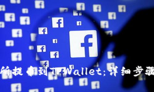 如何从交易所提币到TPWallet:详细步骤与注意事项