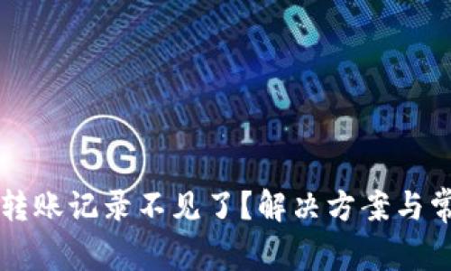 : TPWallet转账记录不见了?解决方案与常见问题解析