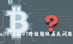 如何解决TPWallet USDT跨链转账丢失问题