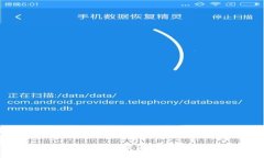 TPWallet无法打开的解决方案及常见问题