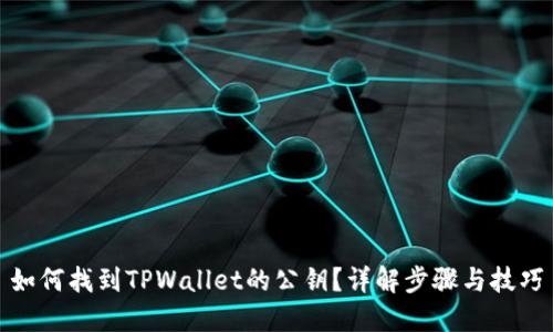 如何找到TPWallet的公钥？详解步骤与技巧