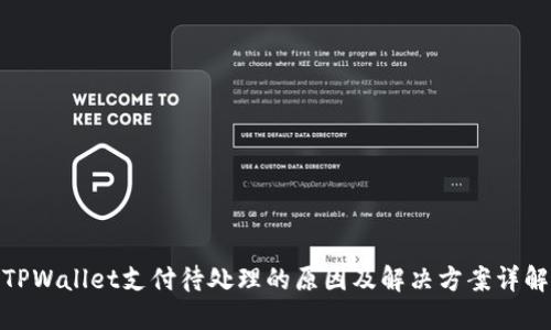 TPWallet支付待处理的原因及解决方案详解