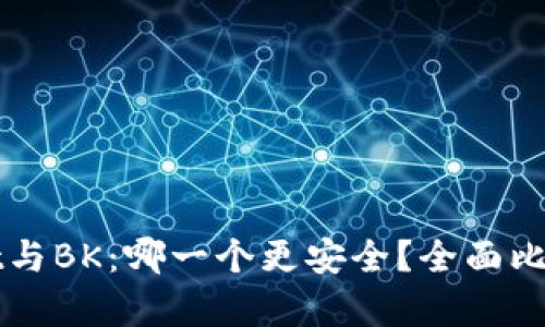 TPWallet与BK：哪一个更安全？全面比较与分析