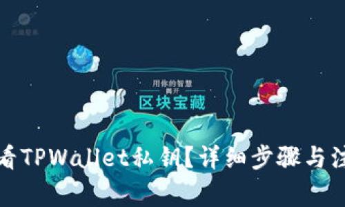 如何查看TPWallet私钥？详细步骤与注意事项