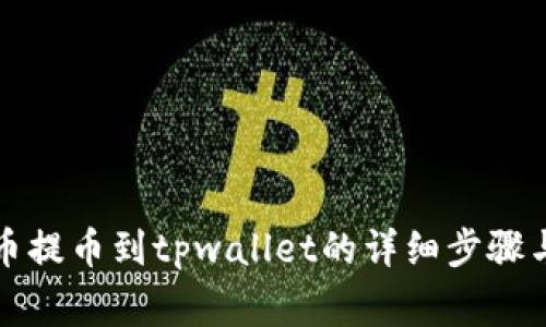 如何将中币提币到tpwallet的详细步骤与注意事项