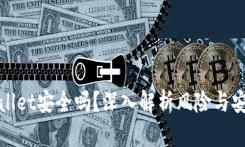 TPWallet安全吗？深入解析风险与安全性