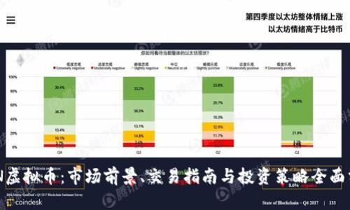 DCN虚拟币：市场前景、交易指南与投资策略全面分析