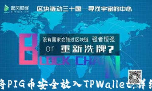 
如何将PIG币安全放入TPWallet：详细指南
